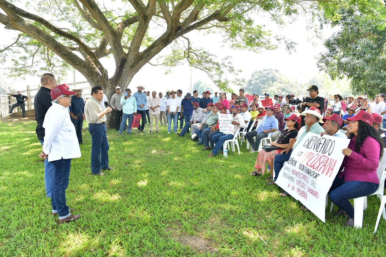 Javier May fortalece el campo en Tabasco con Sembrando Vida y apoyo ganadero.