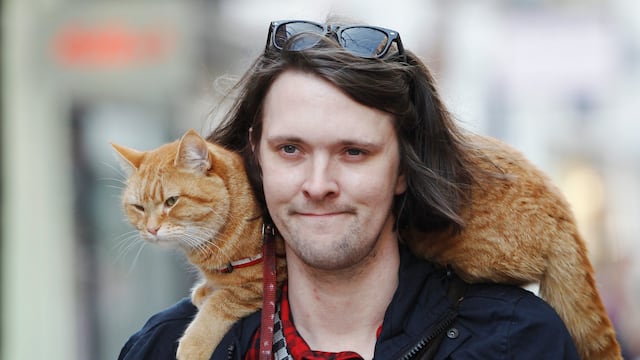 James Bowen y el gato Bob