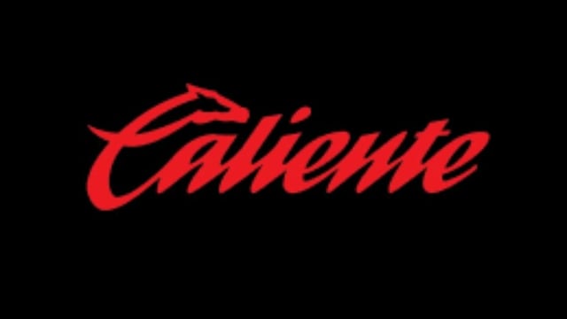 ¿Quién es el dueño de Grupo Caliente? Gallos Blancos de Querétaro y Xolos de Tijuana le pertenecen