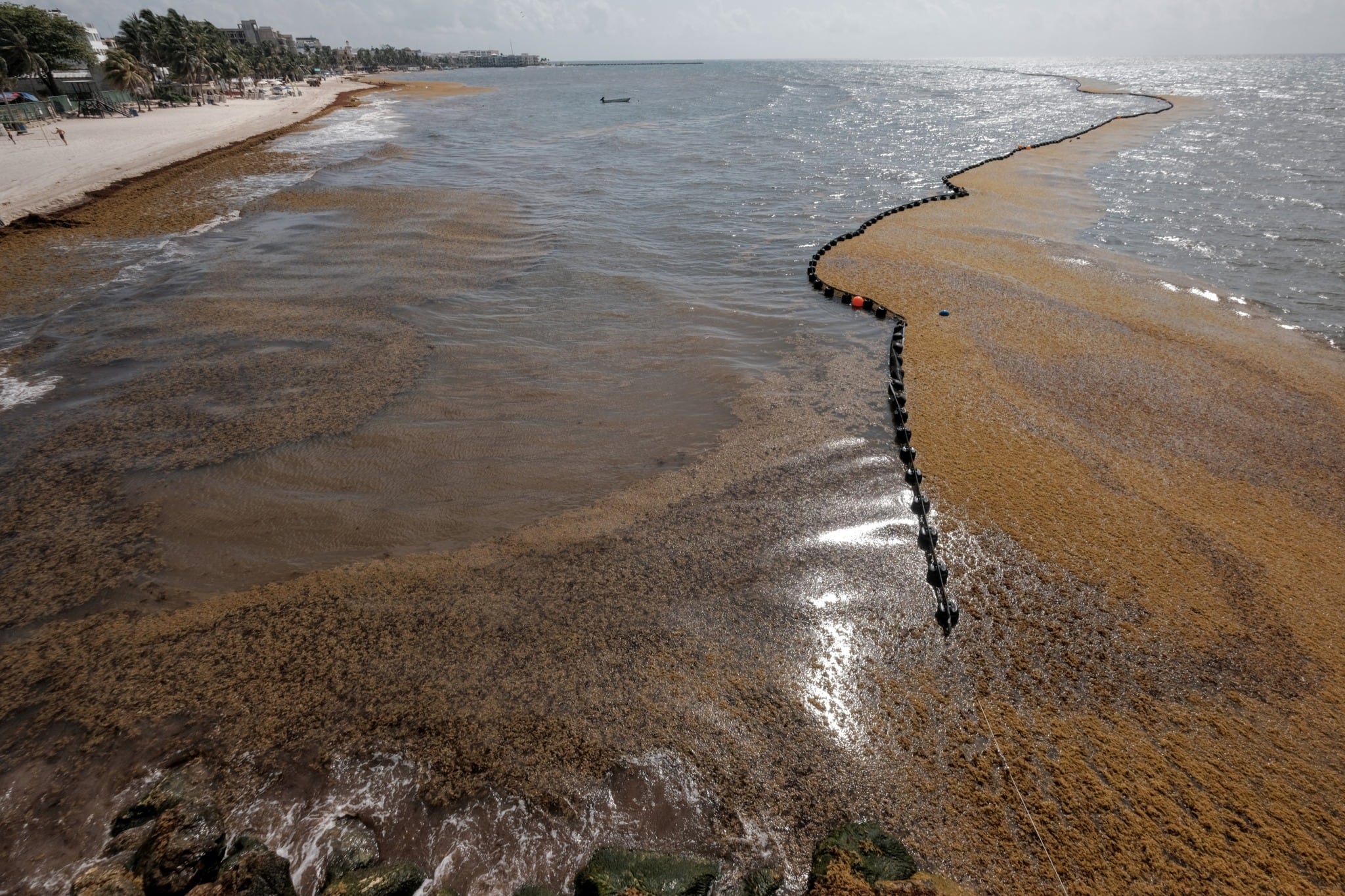 Playa del Carmen, vecina de Cancún, luce peor que nunca y seguirá así hasta agosto