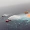 Pemex: Reportan explosión en la plataforma Ku Sierra