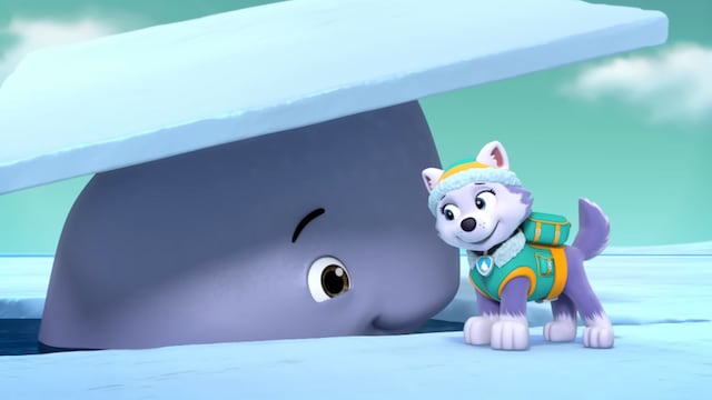 Paw Patrol por el Día Internacional de la Diversidad Biológica