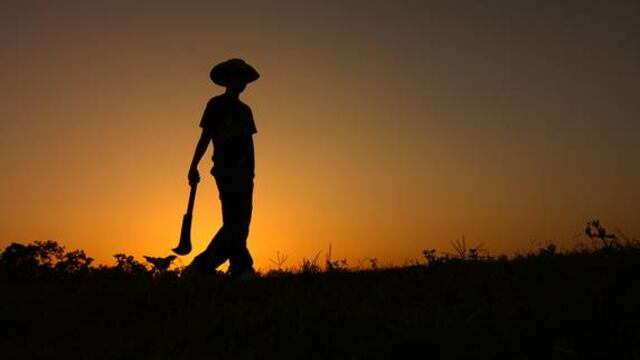 Los pobres campesinos que tienen apostados sus intereses en el campo sepan que en 2017 contarán con el 29.1% menos.
