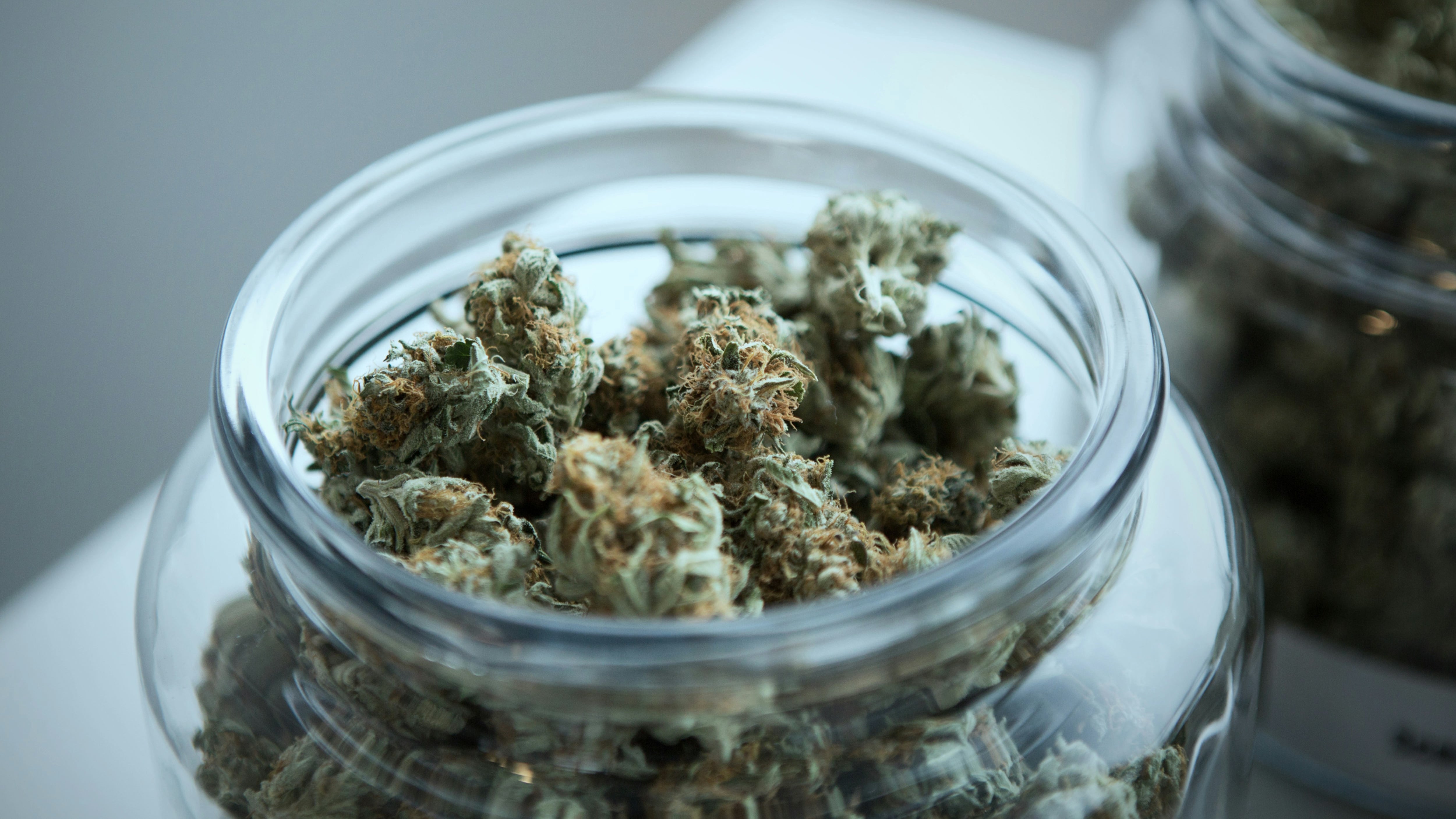 ¿Qué pasó en Ciudad Universitaria UNAM? Detienen a estudiante por vender marihuana