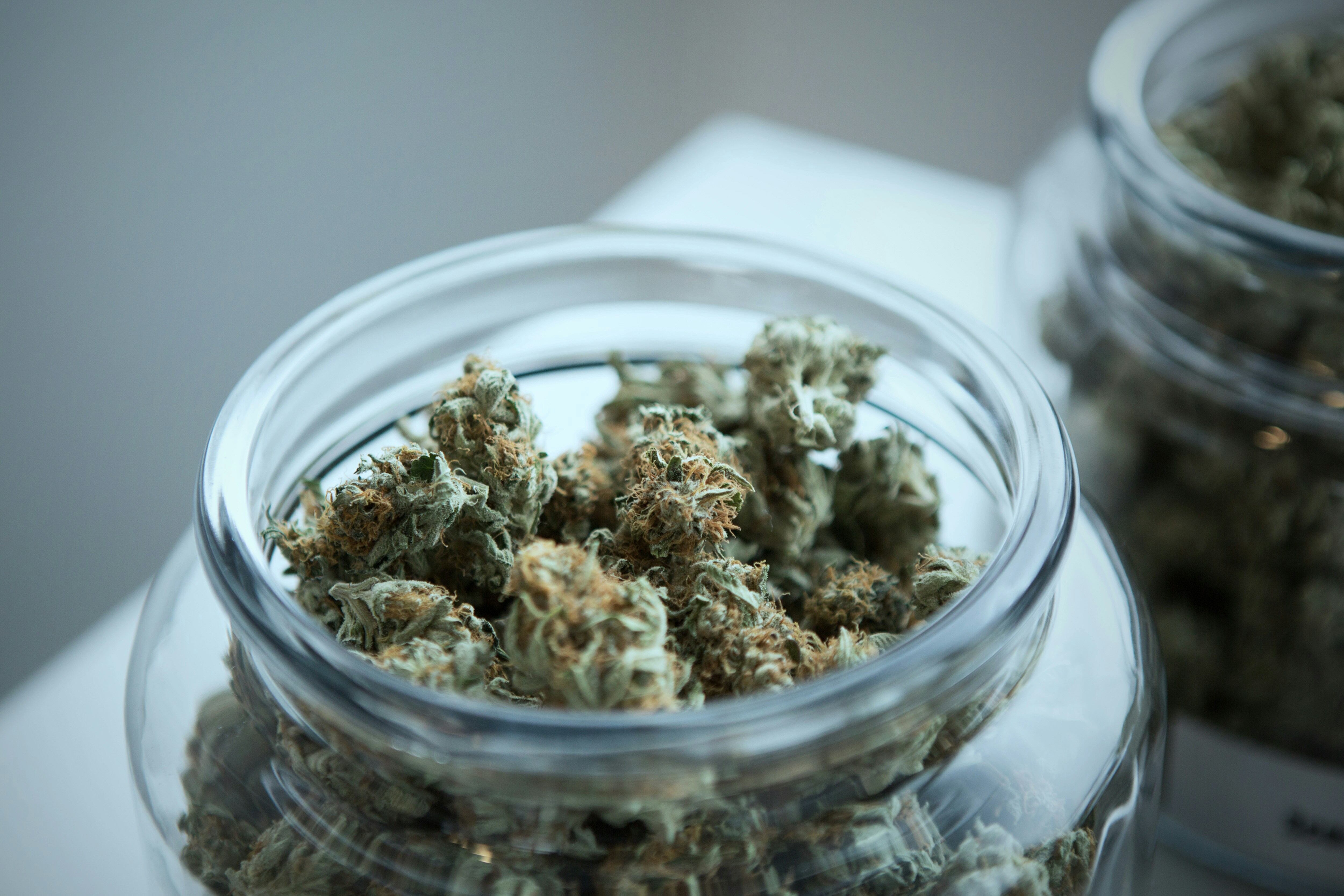 Marihuana