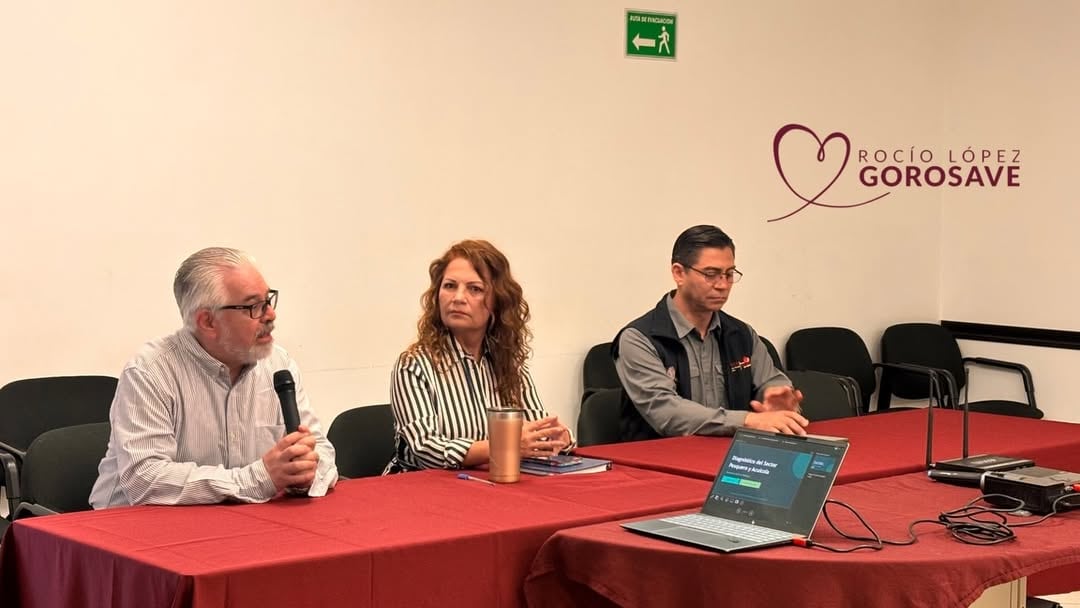 Rocío López Gorosave, diputada federal por Morena