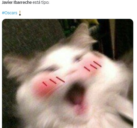 Meme de Javier Ibarreche en los Premios Oscar 2023.