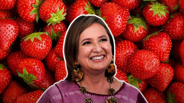 Xóchitl Gálvez se "la rifa" piscando fresas junto a migrantes de California