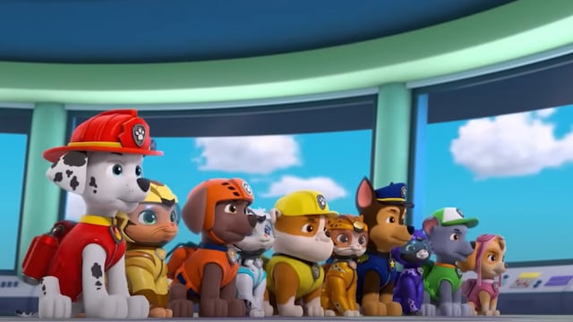 Cat Pack y Paw Patrol