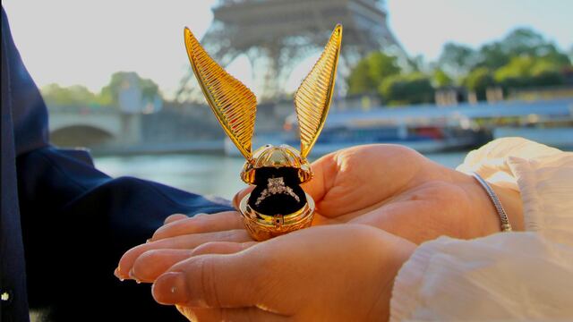 Petición de matrimonio al estilo Harry Potter