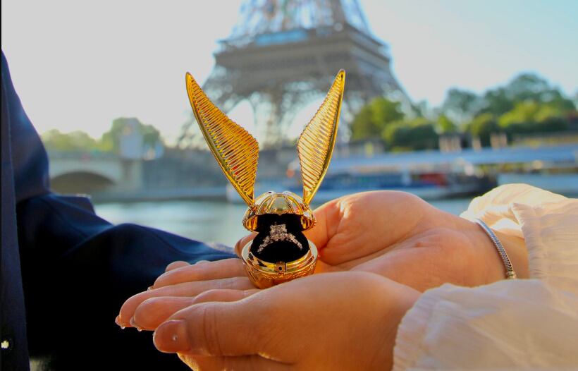 Petición de matrimonio al estilo Harry Potter