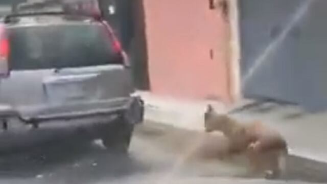 Mineral de Reforma, Hidalgo.