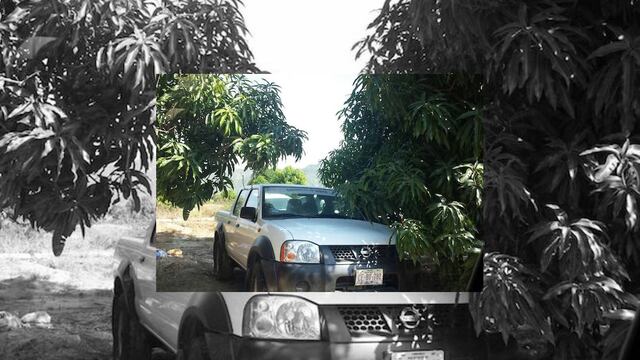 Son unidades oficiales con logotipos de la administración pasada del perredista Antonio Agúndez Montaño.