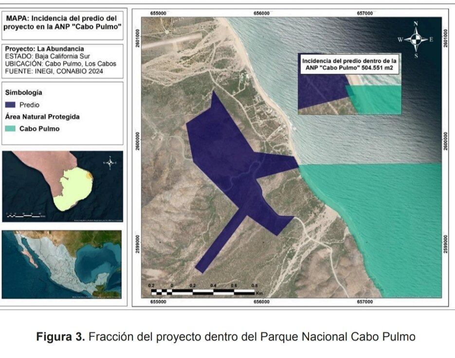 Cabo Pulmo y proyecto La Abundancia