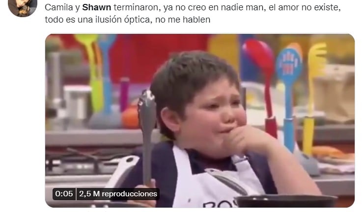 Memes sobre la ruptura de Camila Cabello y Shawn Mendes