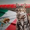 Denuncian desalojo de gatos por el México vs Portugal; temen que sean sacrificados