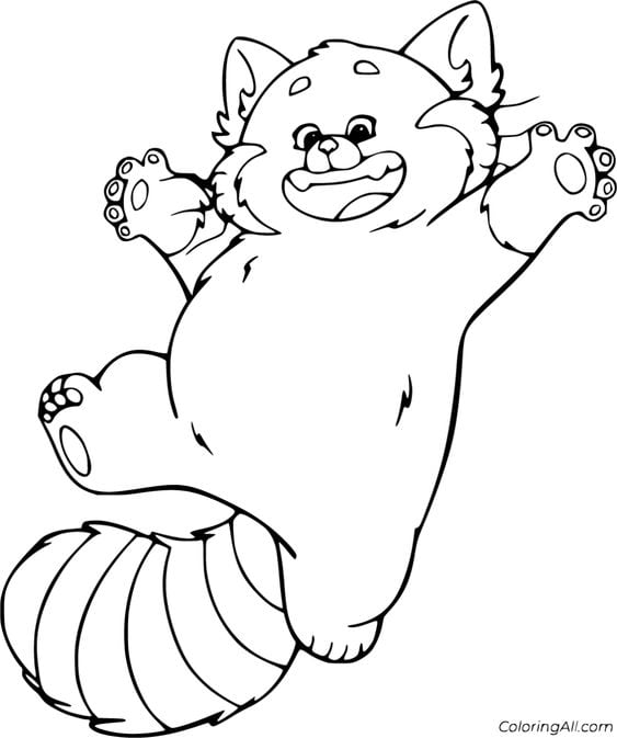 Dibujos de panda rojo para colorear
