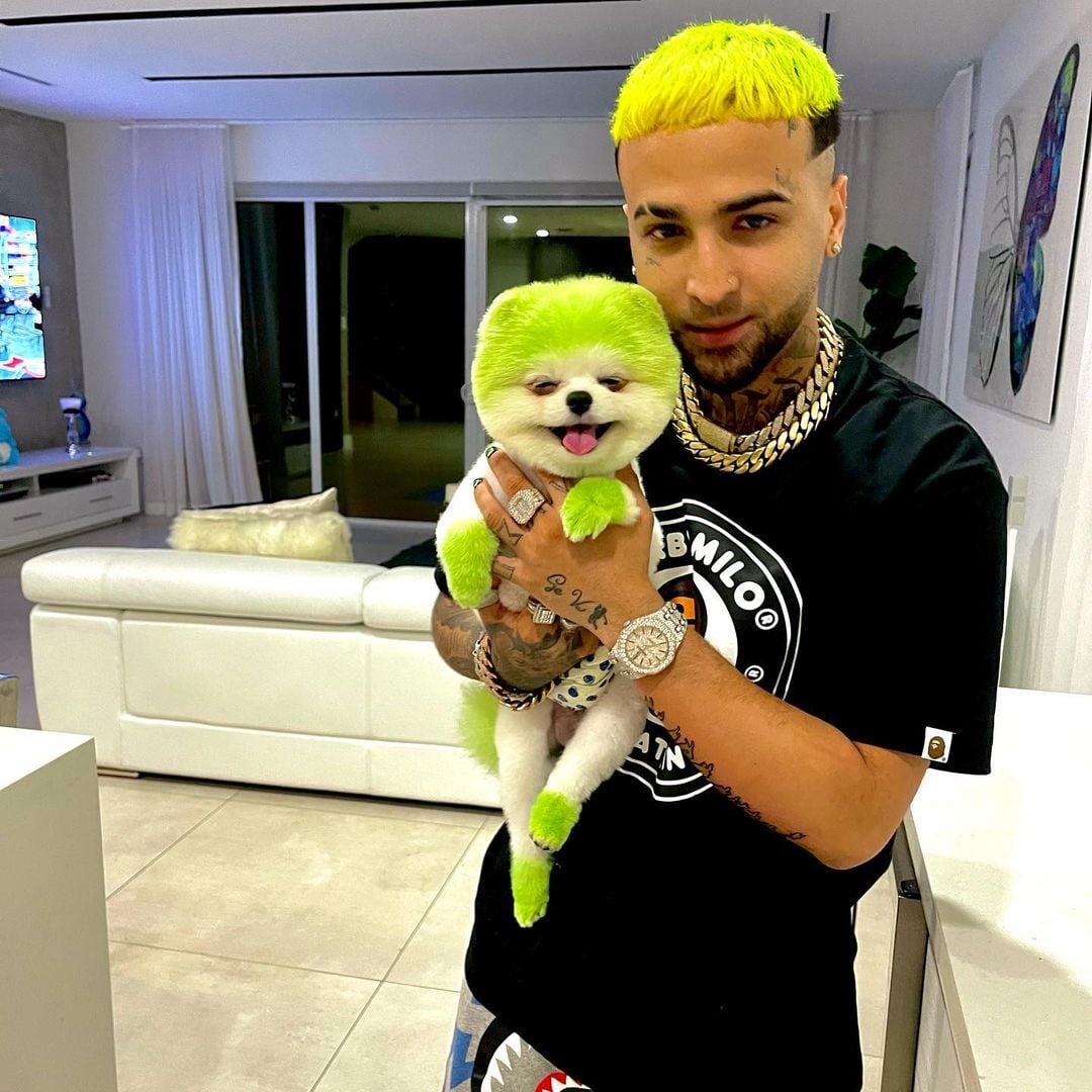 Ovi, cantante cubano, cargando a su perro