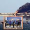 Puente de Crimea: Ucranianos celebraron con sello postal, fotos y video, antes del bombardeo de Rusia a Kiev