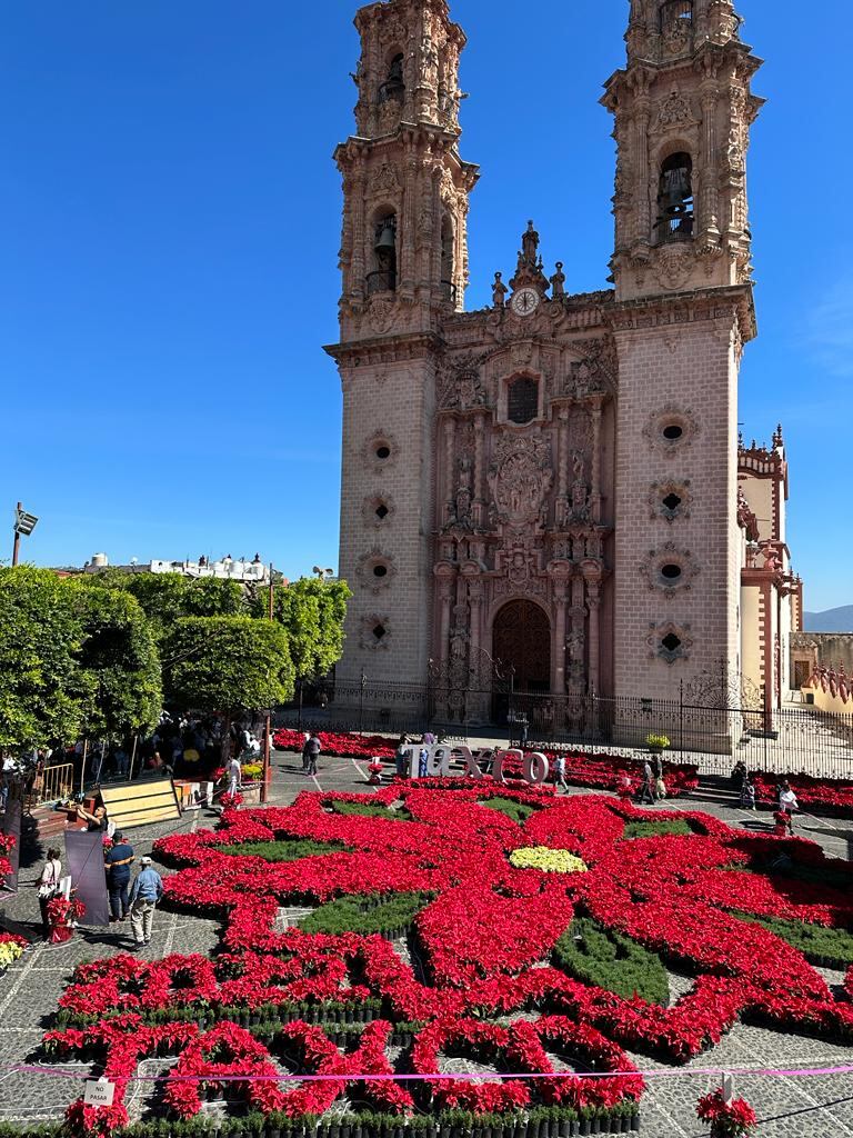Taxco tiene la Flor de Nochebuena más grande del mundo