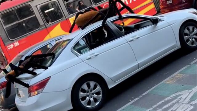 VIDEO: El carro con arañas bailarinas que conquista TikTok justo para Halloween