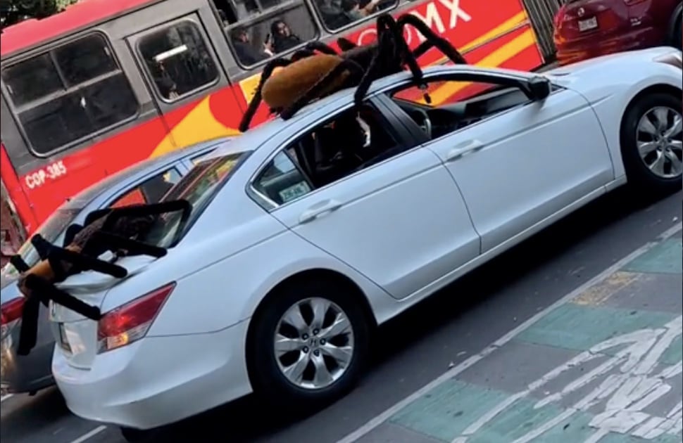 VIDEO: El carro con arañas bailarinas que conquista TikTok justo para Halloween