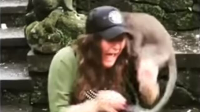 Mujer es atacada por un mono tras ahorcar a su cría