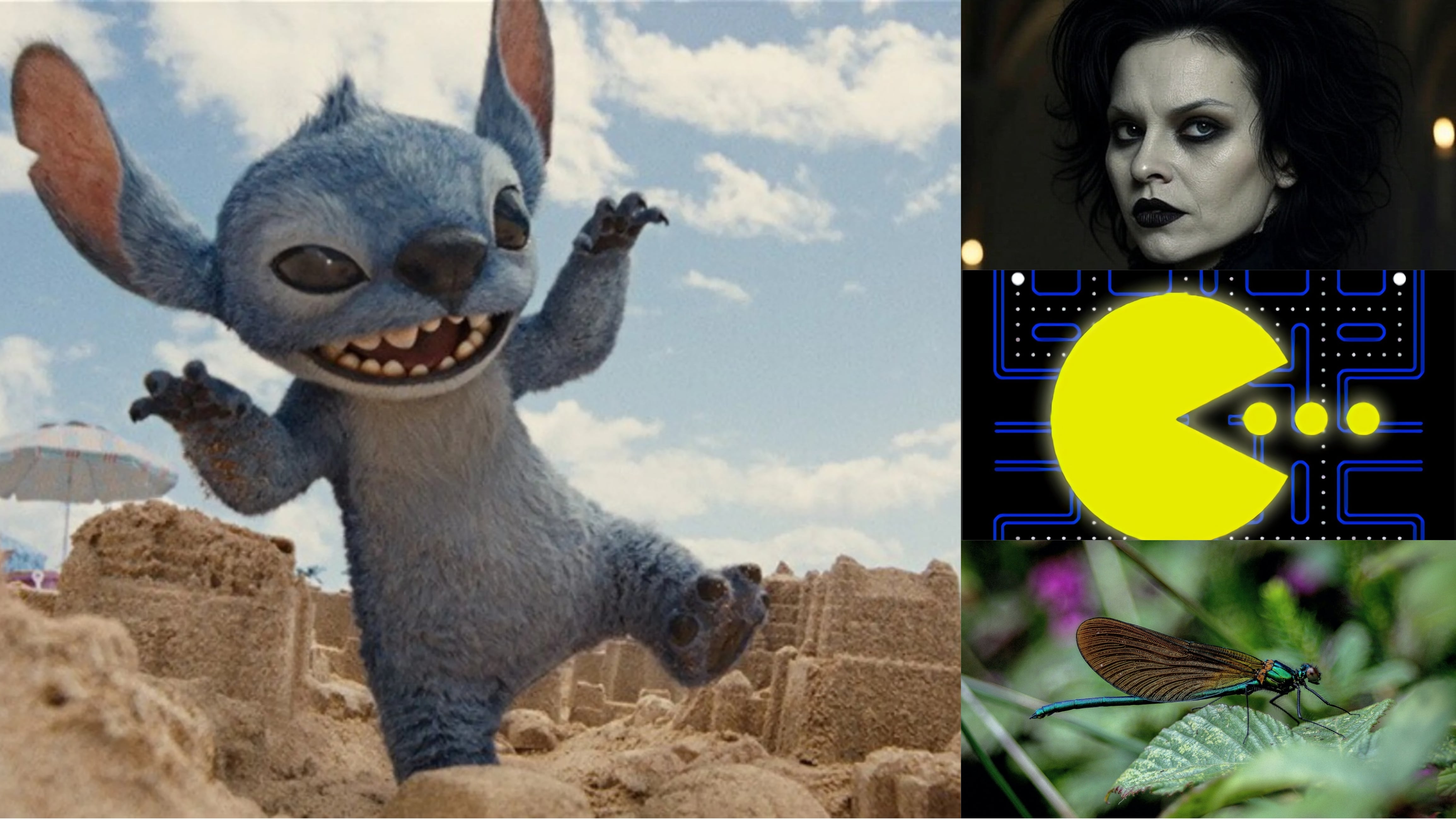 ¿Qué se celebra el 22 de mayo? Hoy se estrena live action de Lilo & Stitch, es Día Mundial del Gótico, Día Mundial del Pac-Man y más