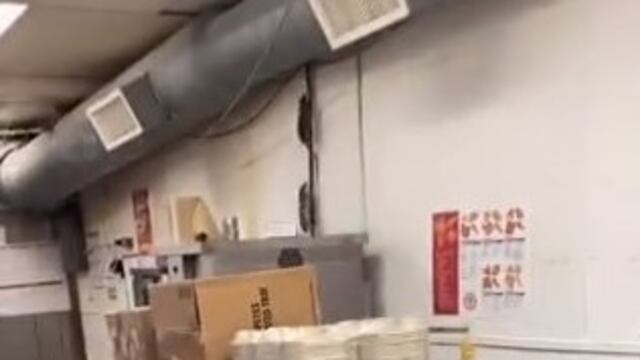 Plaga de ratas en restaurante Popeyes