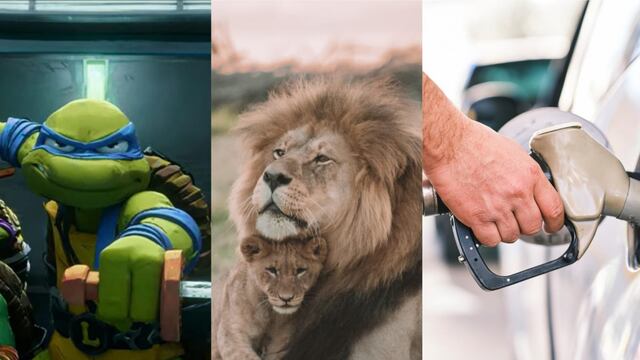 Este 10 de agosto se estrena las Tortugas Ninja: Caos Mutante y se celebra el Día del León y el Día del Biodiésel