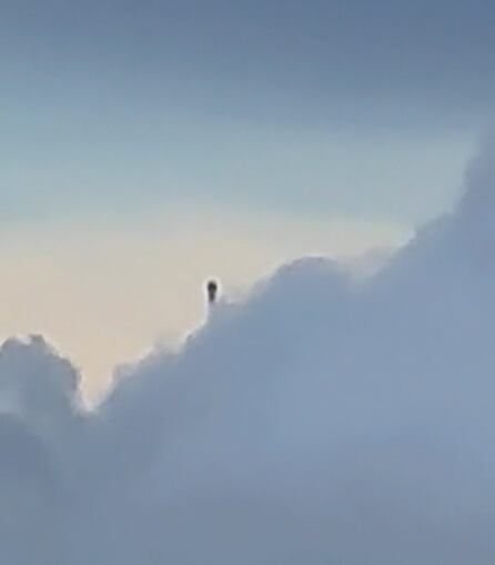 Caballero Negro sobre Guatemala