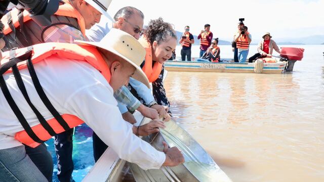 Michoacán siembra pescado blanco en lago de Pátzcuaro