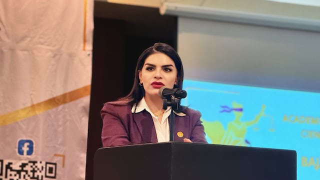 Luz María Rodríguez, diputada federal por Morena.