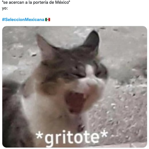 Memes festejan atajada de Memo Ochoa en Qatar 2022