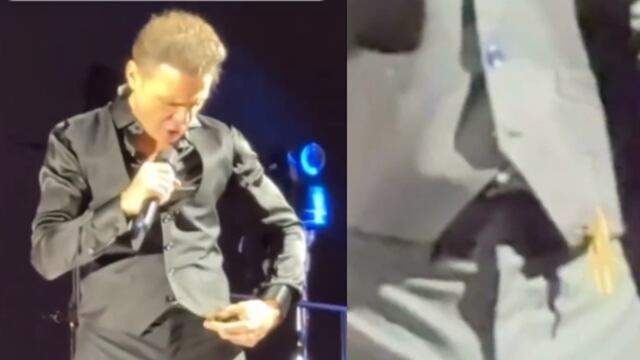 Luis Miguel se enfrenta a un grillo en pleno concierto.