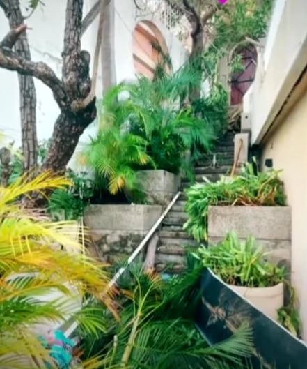 Así quedó la casa de Talina Fernández tras el huracán Otis en Acapulco