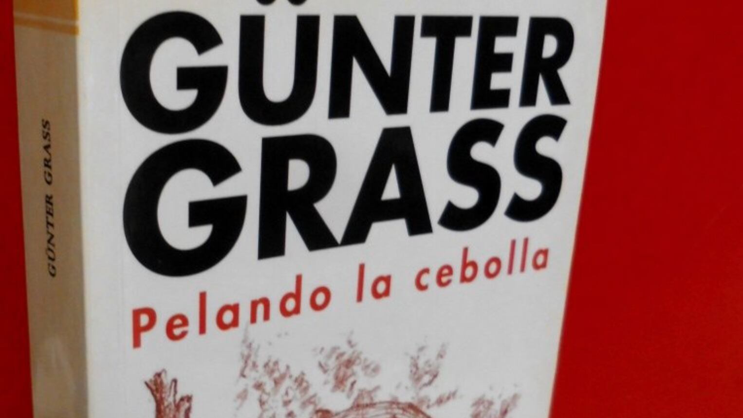 La metáfora de la cebolla