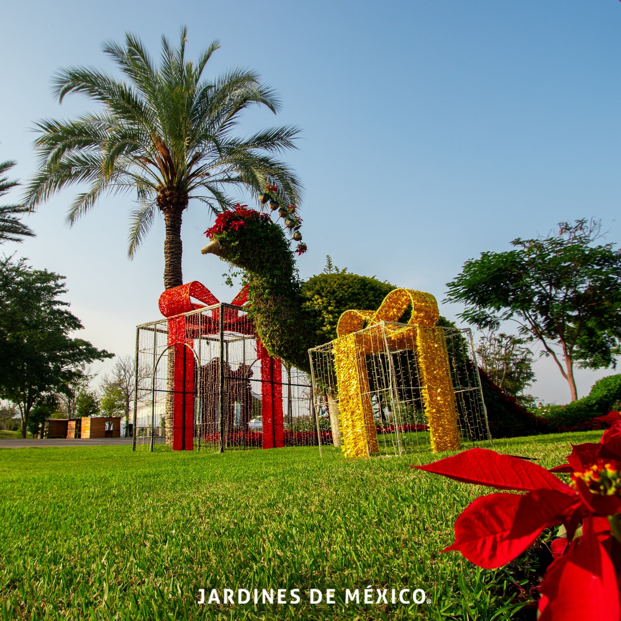 Jardines de México Navidad 2023