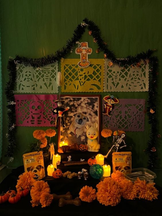 Ofrenda de Día de Muertos para mascotas
