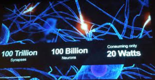 Interconexiones neuronales