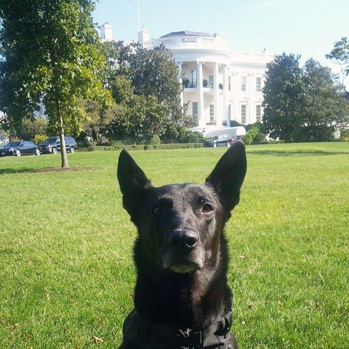 Hurricane recibe medalla de alto honor