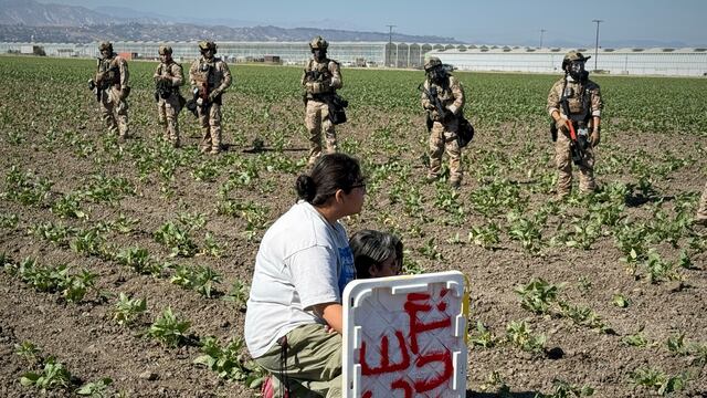 Redadas en granjas de California
