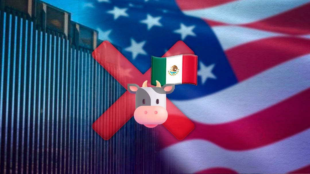 Gusano barrenador: Estados Unidos anuncia cierre de frontera con México a importaciones de ganado
