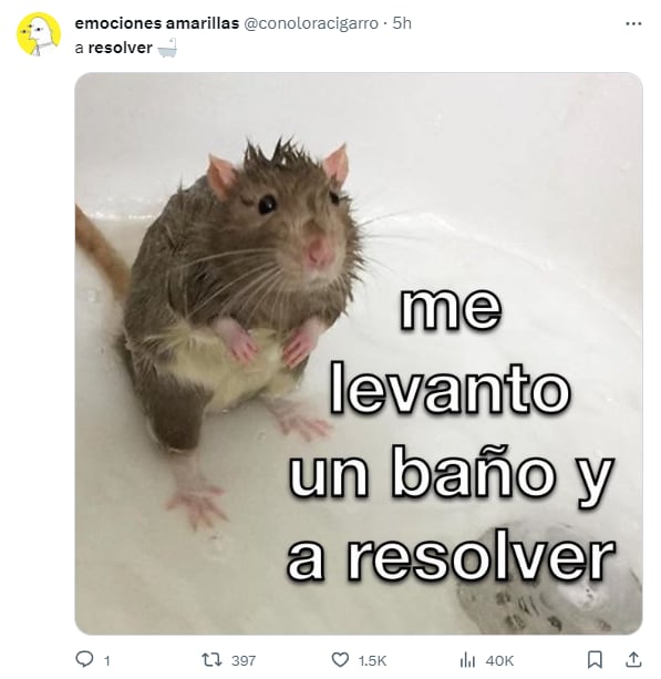 Memes de resolver
