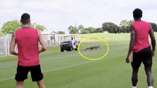 Concacaf Liga de Campeones: Cocodrilo sorprende a jugadores del Toronto FC