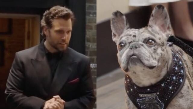 Rory, la perrita por fin conoció a Henry Cavill durante la premiere de The Witcher