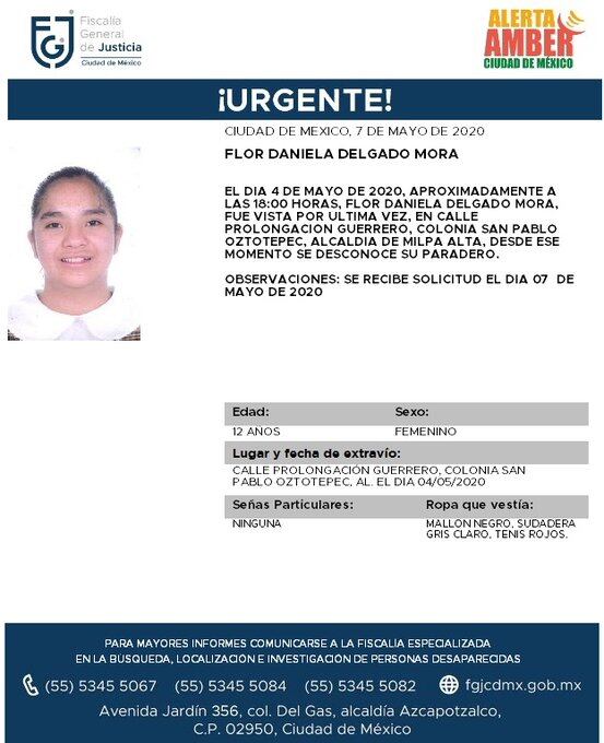 Ficha de búsqueda de Flor.