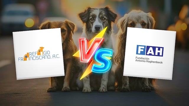 Refugio Franciscano vs Fundación Haghenbeck por predio