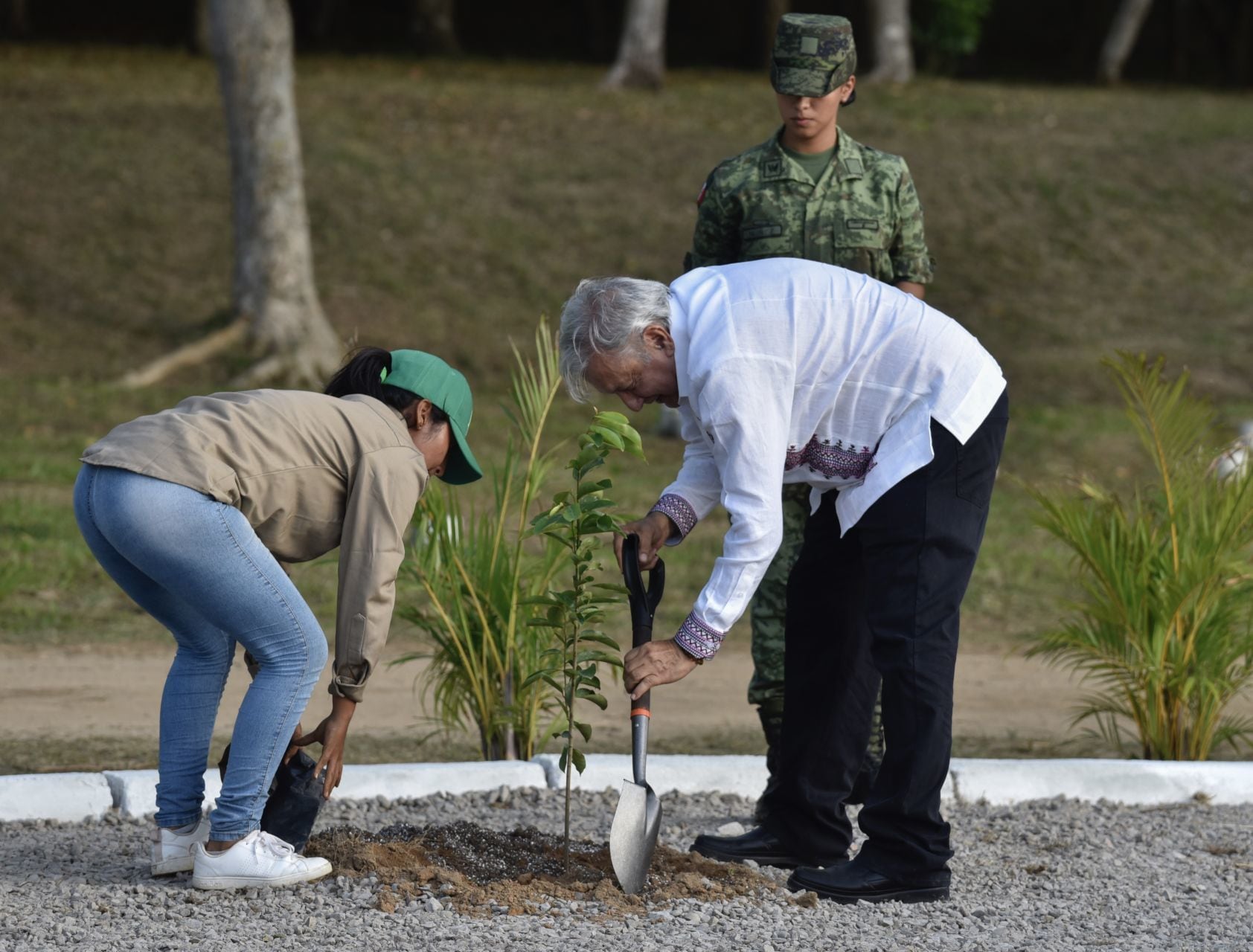AMLO, Sembrando Vida