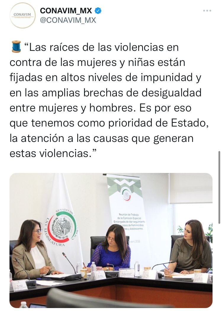 Participación de titular de la Conavim en el Senado